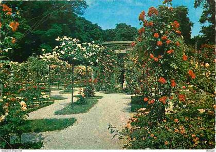 94 - L'Hay les Roses - La Roseraie - Fleurs - CPM - Voir Scans Recto-Verso