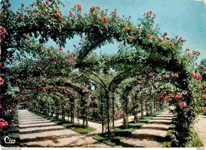 94 - L'Hay les Roses - La Roseraie - Fleurs - Roses - Carte Dentelée - CPSM grand format - Voir Scans Recto-Verso