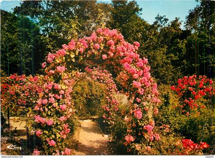 CPM L'Hay les Roses (Val de Marne)La Roseraie