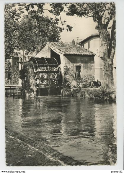 L'ISLE SUR SORGUE - Roue à aubes (1959)