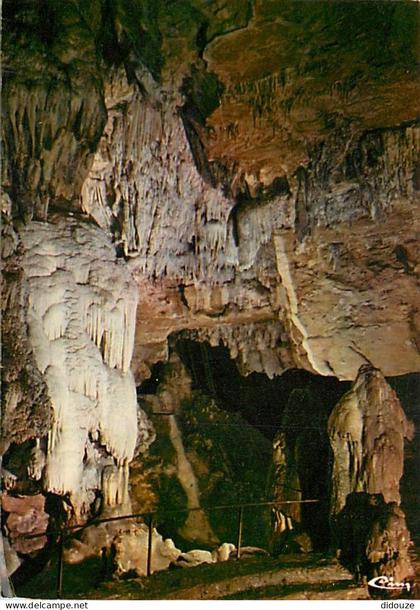 38 - La Balme les Grottes - Grottes de la Balme - Stalagmite du moine et du Saule pleureur - Spéléologie - Curiosité Géo