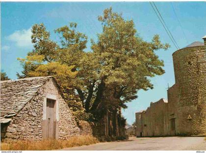 Carte Postale - 12 - La Cavalerie - Les Remparts de La Cavalerie - CPM - Voir Scans Recto-Verso - Poscard - Carta Postal