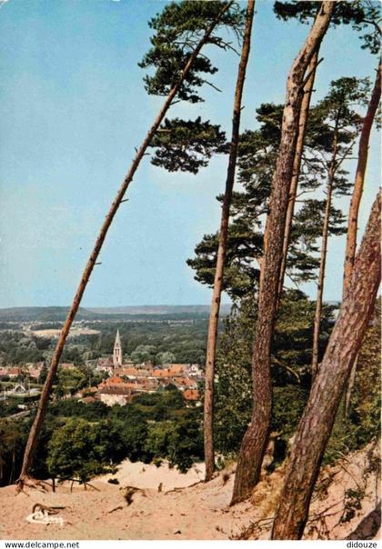91 - La Ferté Alais - De la Sablière vue générale - CPM - Voir Scans Recto-Verso