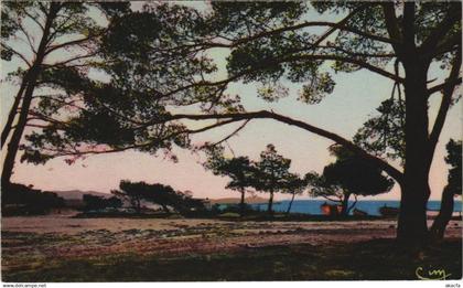 CPA LA LONDE-les-MAURES Plage de l'Argentiere (1112845)