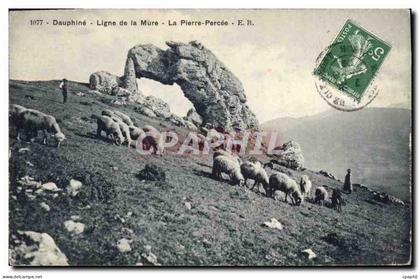 CPA Dauphine Ligne de la Mure la Pierre Percee Berger Moutons
