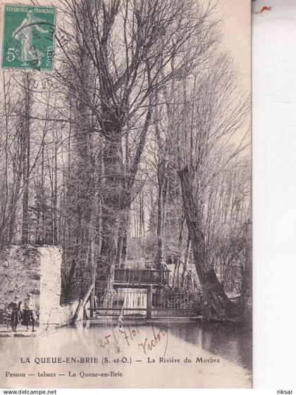 LA QUEUE EN BRIE(ARBRE)
