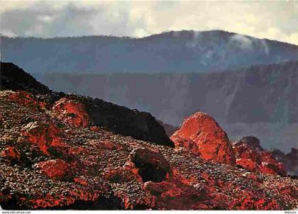 La Réunion - Le Piton de la Fournaise - Colline brulante du Piton de la Fournaise - Volcanologie - CPM - Voir Scans Rect