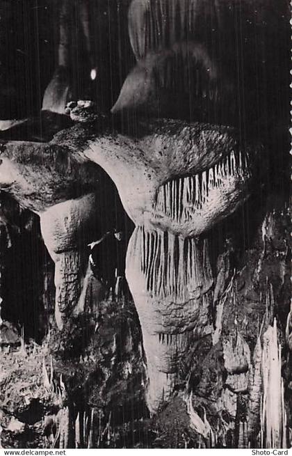 46 LACAVE GROTTES DE LACAVE