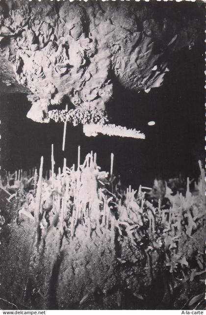 46 LACAVE GROTTES DE LACAVE