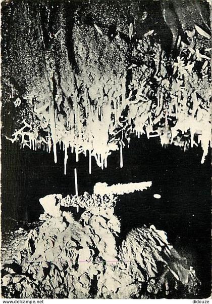 Carte Postale - 46 - Lacave - Grottes de Lacave - Excentriques en lumière noire - Spéléologie - Carte dentelée - CPSM gr