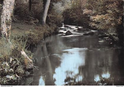 53 LANDIVY LES BORDS DE LA FUTIE COUESNON