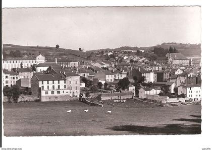 LANGOGNE  - Vue générale, côté sud
