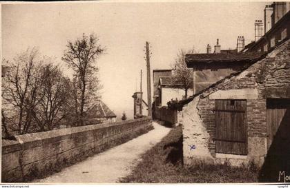 Langres - Petits Tableaux de Langres Les Remparts - CPA