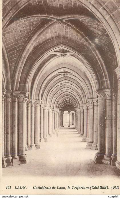 CPA Laon Cathedrale de Laon Le Triforium (Cote Sud) ND