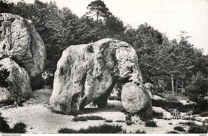 CPA Larchant S et M Le Rocher de l'Elephant
