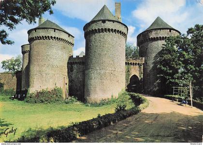53 LASSAY LES CHATEAUX CHATEAU DE LASSAY
