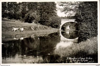 CPA Le Chambon sur Lignon Pont sur le Lignon