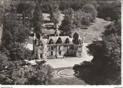 49 - LE LOUROUX BECONNAIS - En avion au dessus de ...Le Louroux Beconnais - Château de la Violaye