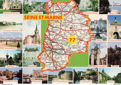 77 LE MEE SUR SEINE MUSEE HENRI CHAPU