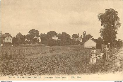 LE PLESSIS-BOUCHARD-chaussée Jules César