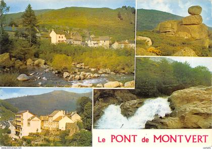 48-LE PONT DE MONTVERT-N 590-D/0279
