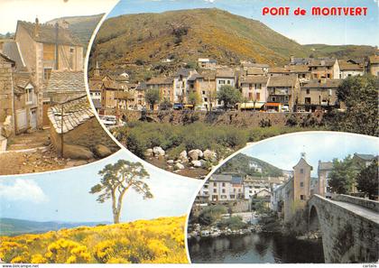 48-LE PONT DE MONTVERT-N 590-D/0285