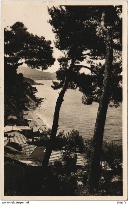 CPA LE PRADET Le Pin de Galle (1110697)