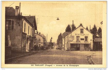 Carte Postale Ancienne de LE THILLOT