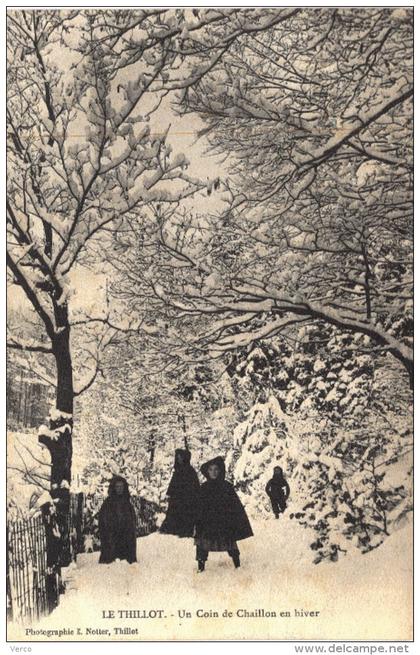 Carte Postale Ancienne de LE THILLOT