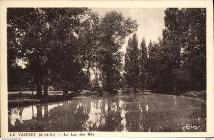 CPA Le Vesinet Le Lac des Ibis
