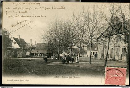 Carte postale - France - Léré - Avenue des Platanes (CP27549)