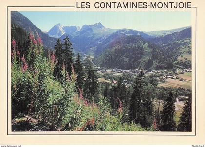 74 LES CONTAMINES MONTJOIE LES CONTAMINES MONTJOIE
