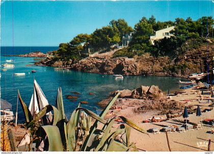 CPM Cote d'Azur Les Issambres (Var) Une Clanque