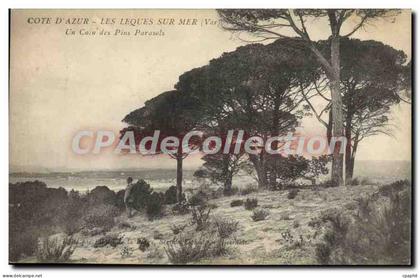 CPA Les Lecques sur mer Un coin des pins parasols