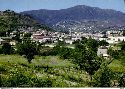 CPA Cevennes Les Vans Bourg d'echange traditionnel entre la montagne et le Bas Vivarais