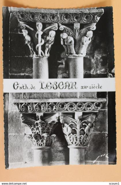 cathédrale de lescar