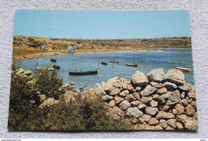 Cpm, Leucate village, l'étang, Aude 11