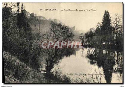 CPA Liverdun La Mosselle sous Liverdun Au Pisuy