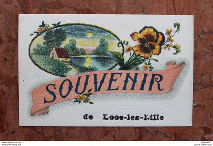 LOOS-LES-LILLE (59) SOUVENIR DE LOOS-LES-LILLE