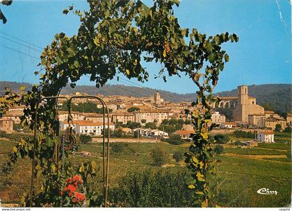 CPM Lorgues Var Vue generale
