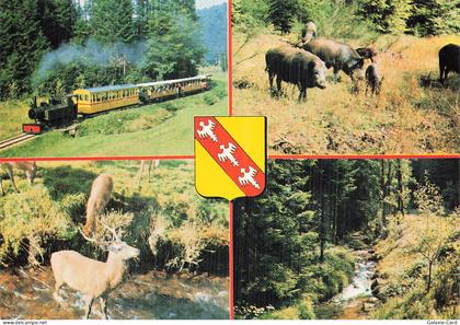 57 LORQUIN ABRESCHVILLER