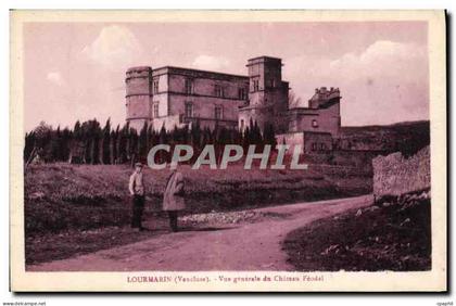 CPA Lourmarin Vaucluse Vue generale du Chateau Feodal