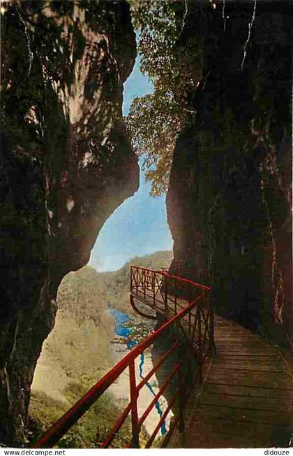 74 - Lovagny - Gorges du Fier - Flamme Postale - CPM - Voir Scans Recto-Verso