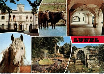 Carte Postale - 34 - Lunel - Multivues - CPM - Voir Scans Recto-Verso