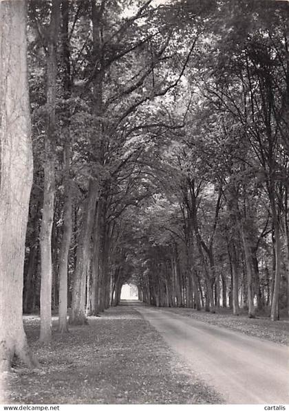 78-MAGNANVILLE-CHATEAU DE MAGNANVILLE-N°7097-D/0189