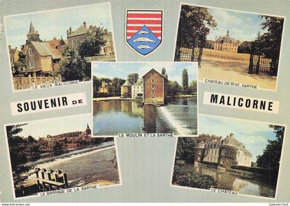 72 MALICORNE SUR SARTHE LE VIEUX MALICORNE