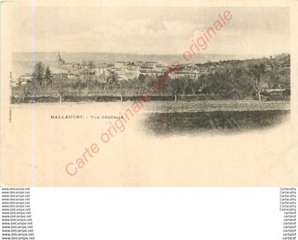 13.  MALLEMORT .  Vue générale .