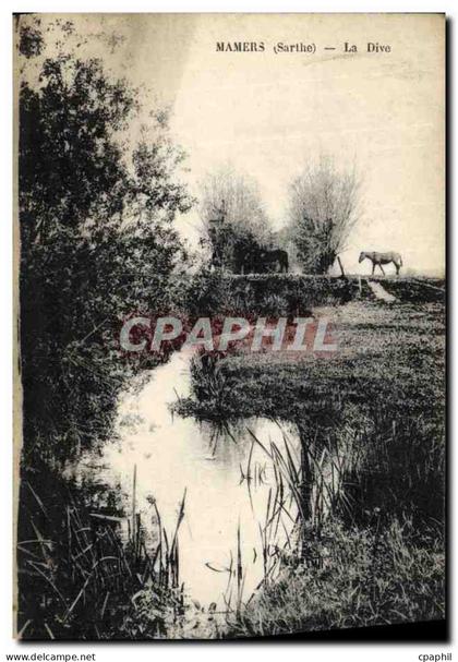 CPA Mamers La Dive Chevaux