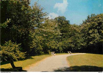 Carte Postale - 62 - Marquise - Le Jardin Public - CPM - Voir Scans Recto-Verso - Poscard - Carta Postal -  Postkarte