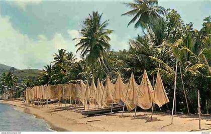Martinique - Saint Pierre - Plage et Filets de Peche à Saint Pierre - CPM - Voir Scans Recto-Verso